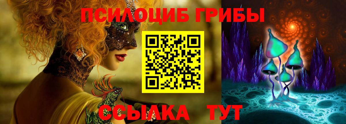 Псилоцибиновые грибы GOLDEN TEACHER  Вход с VPN  сколько стоит  Реж 